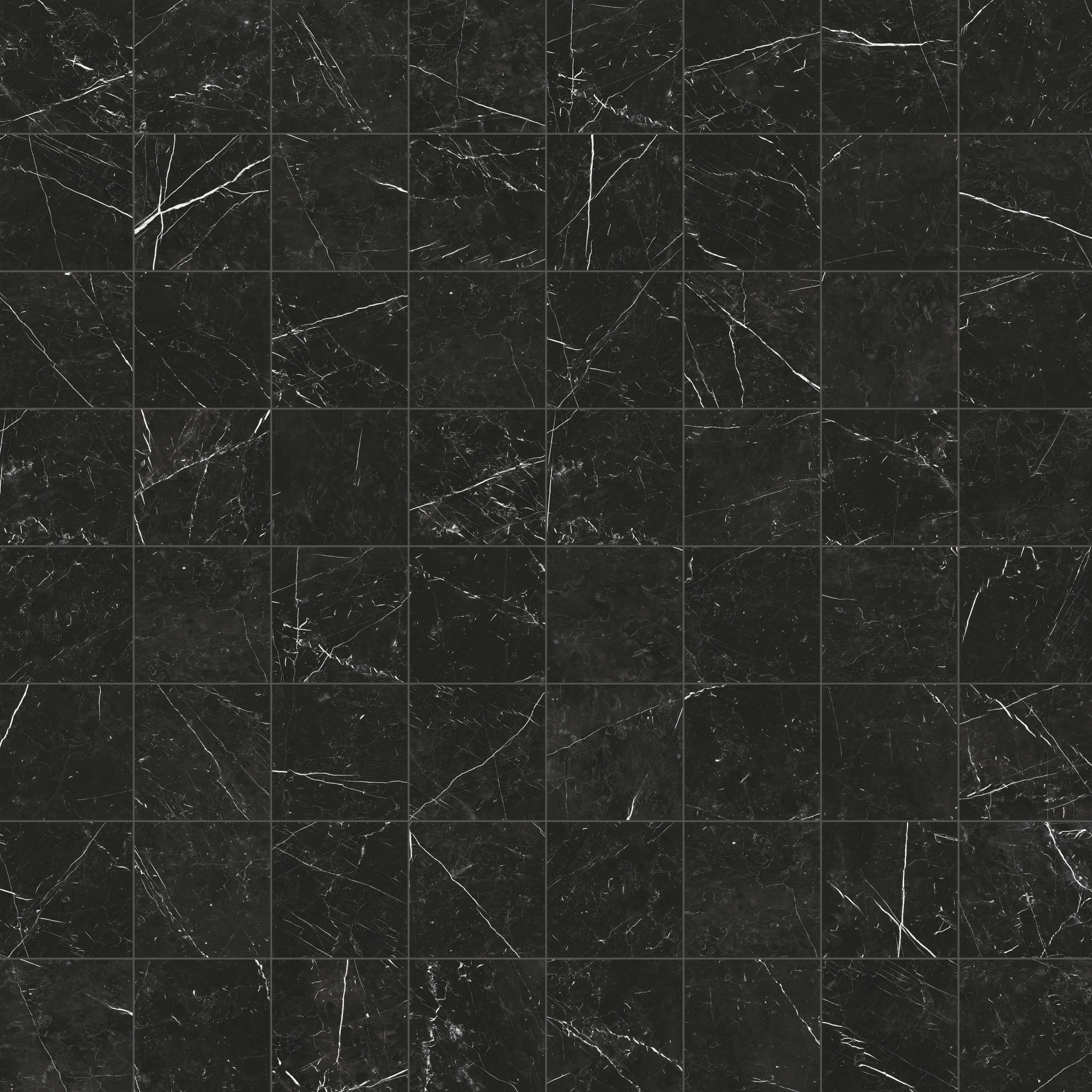 Leona 12x12 Polished Porcelain Tile in Nero Marquina