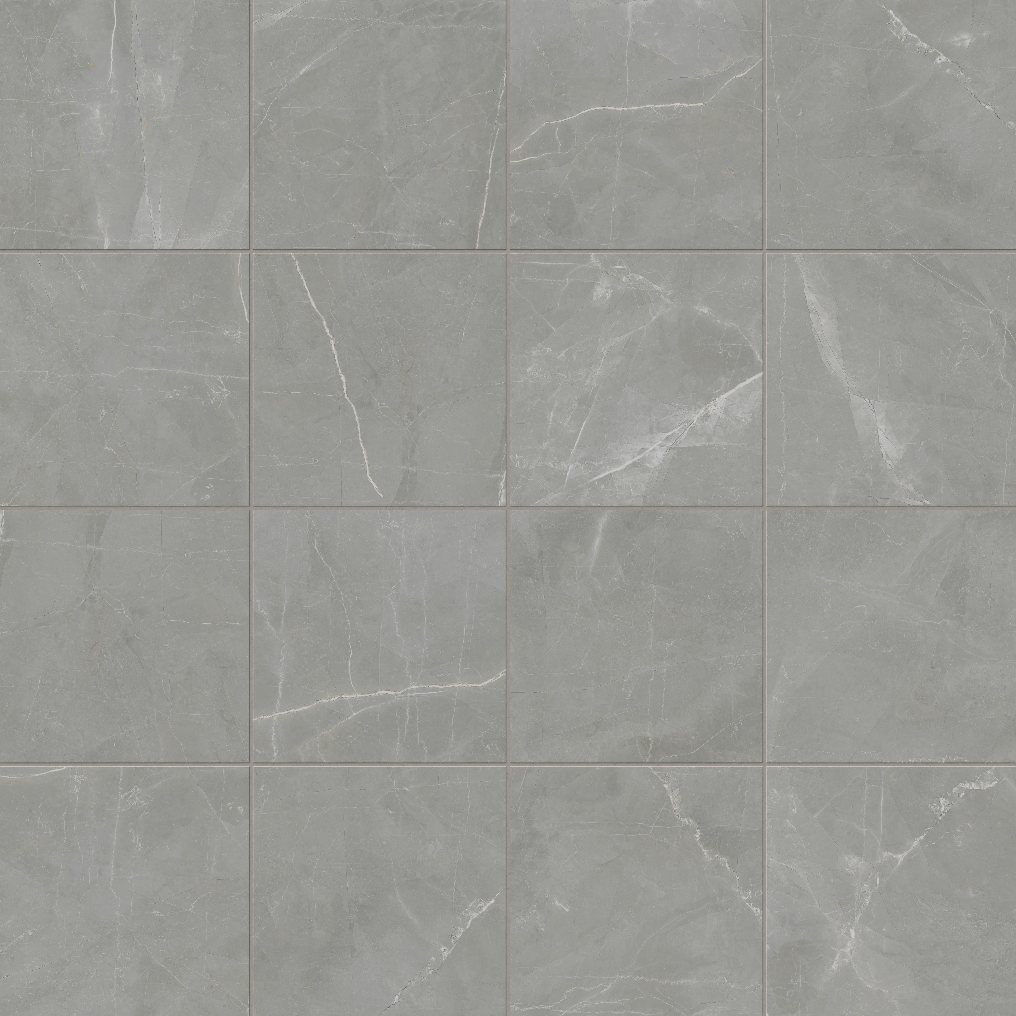 Leona 12x12 Matte Porcelain Tile in Amani Grey