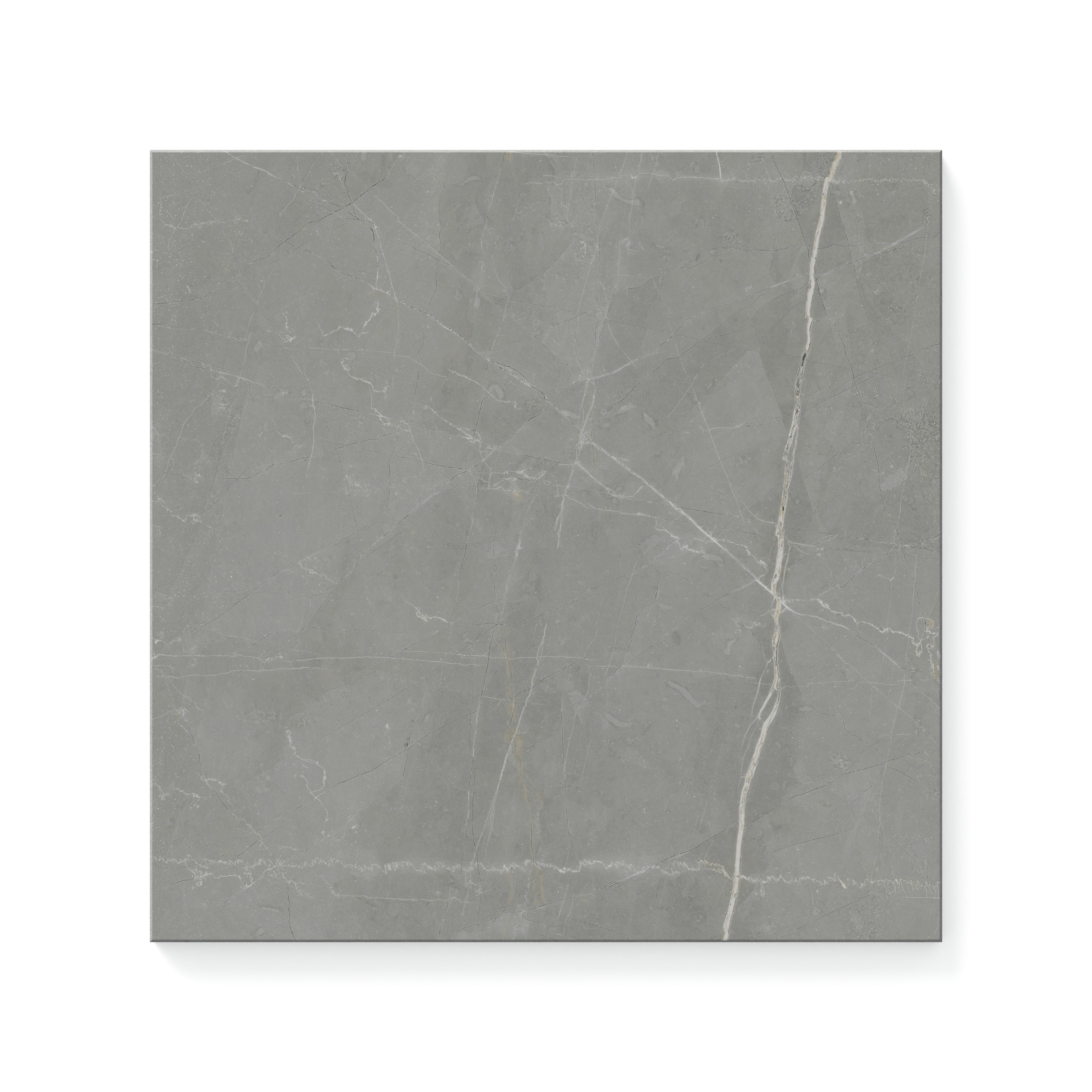 Leona 12x12 Matte Porcelain Tile in Amani Grey