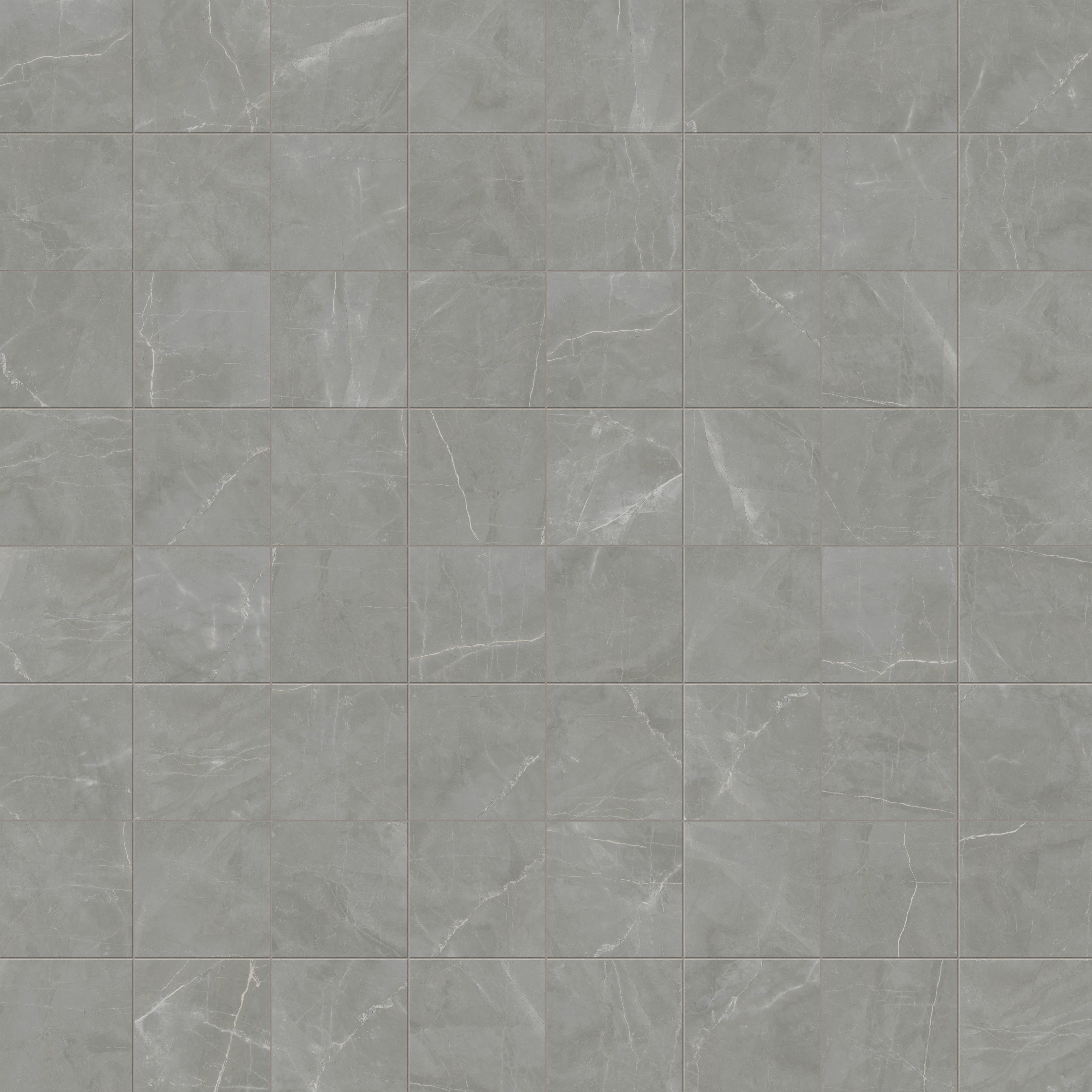 Leona 12x12 Matte Porcelain Tile in Amani Grey