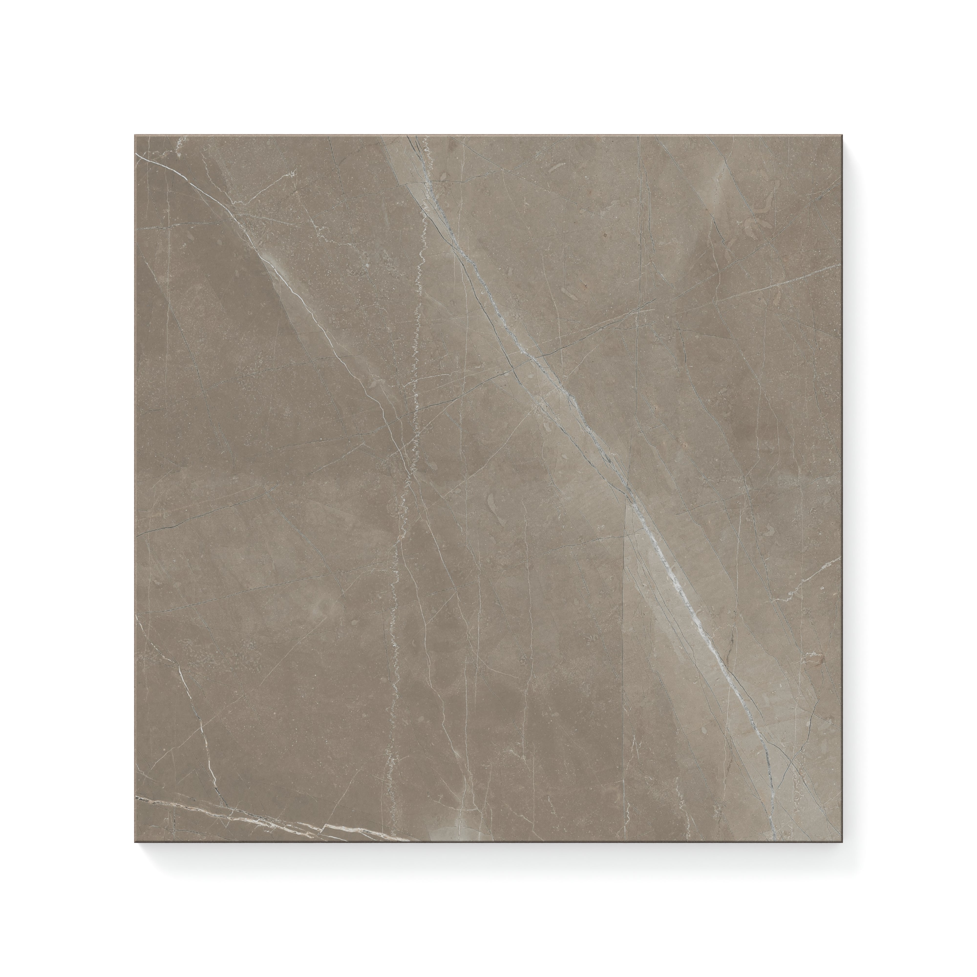 Leona 12x12 Matte Porcelain Tile in Amani Bronze