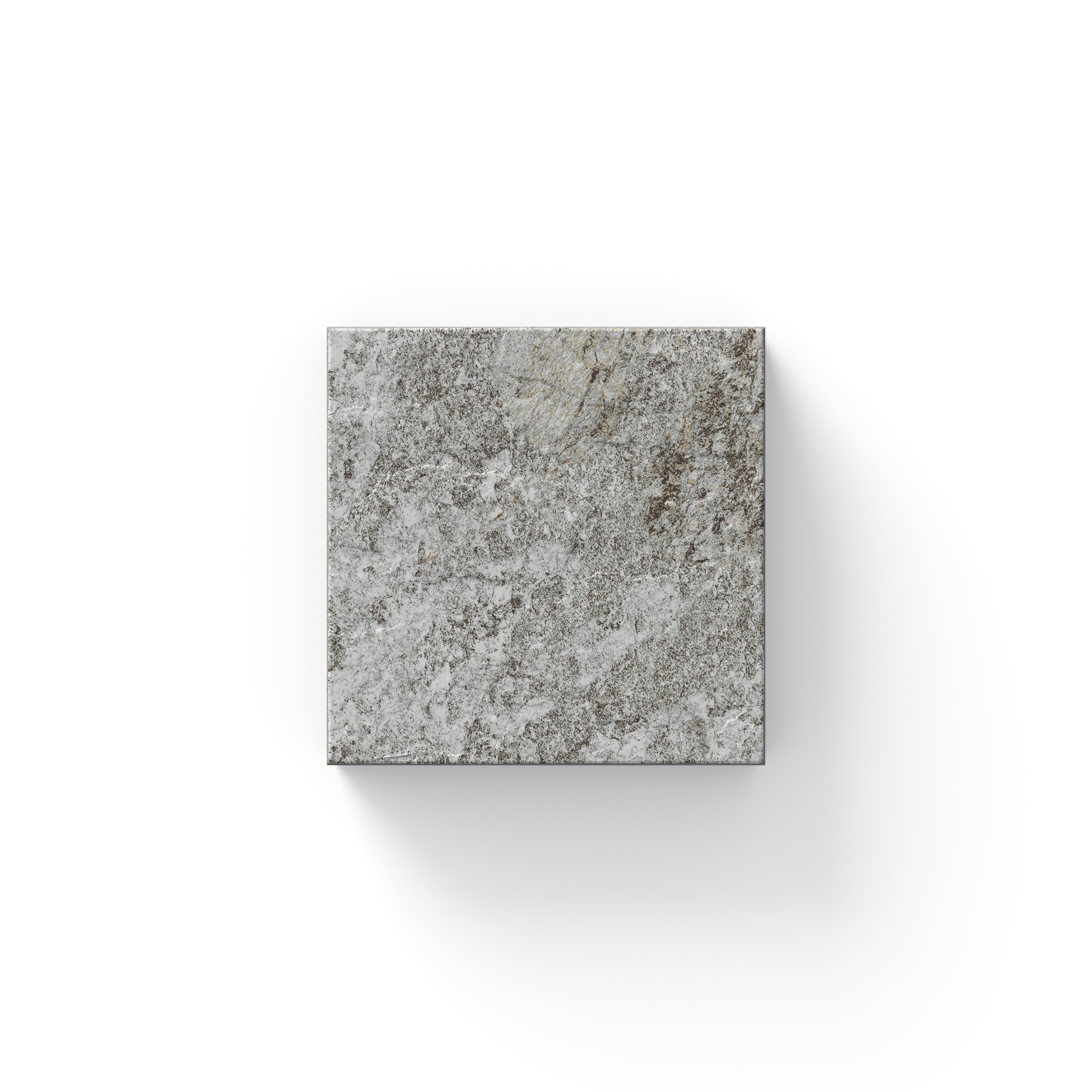 Carter Grip Fossil 4x4 Tile Sample