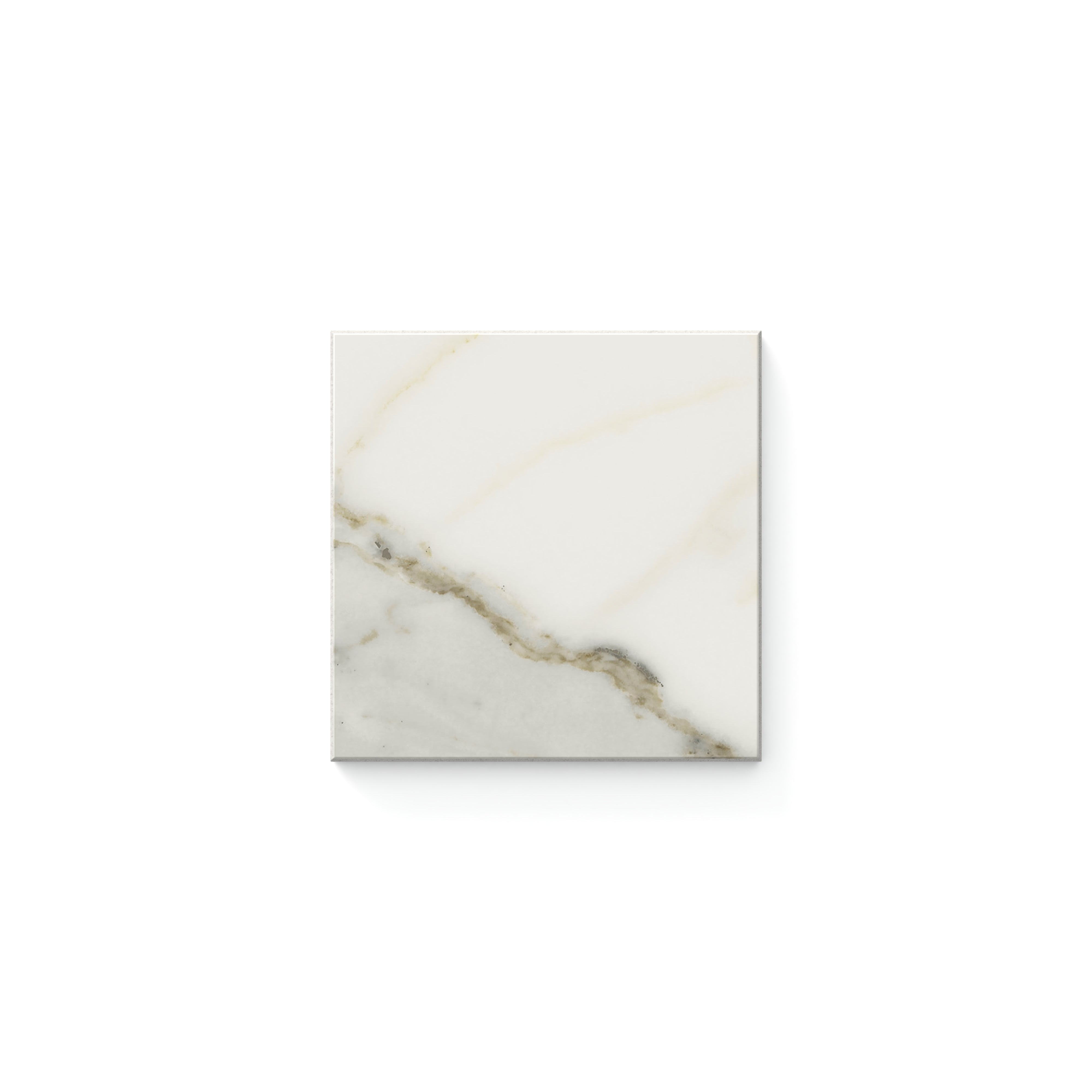 Aniston Matte Calacatta Top 4x4 Tile Sample
