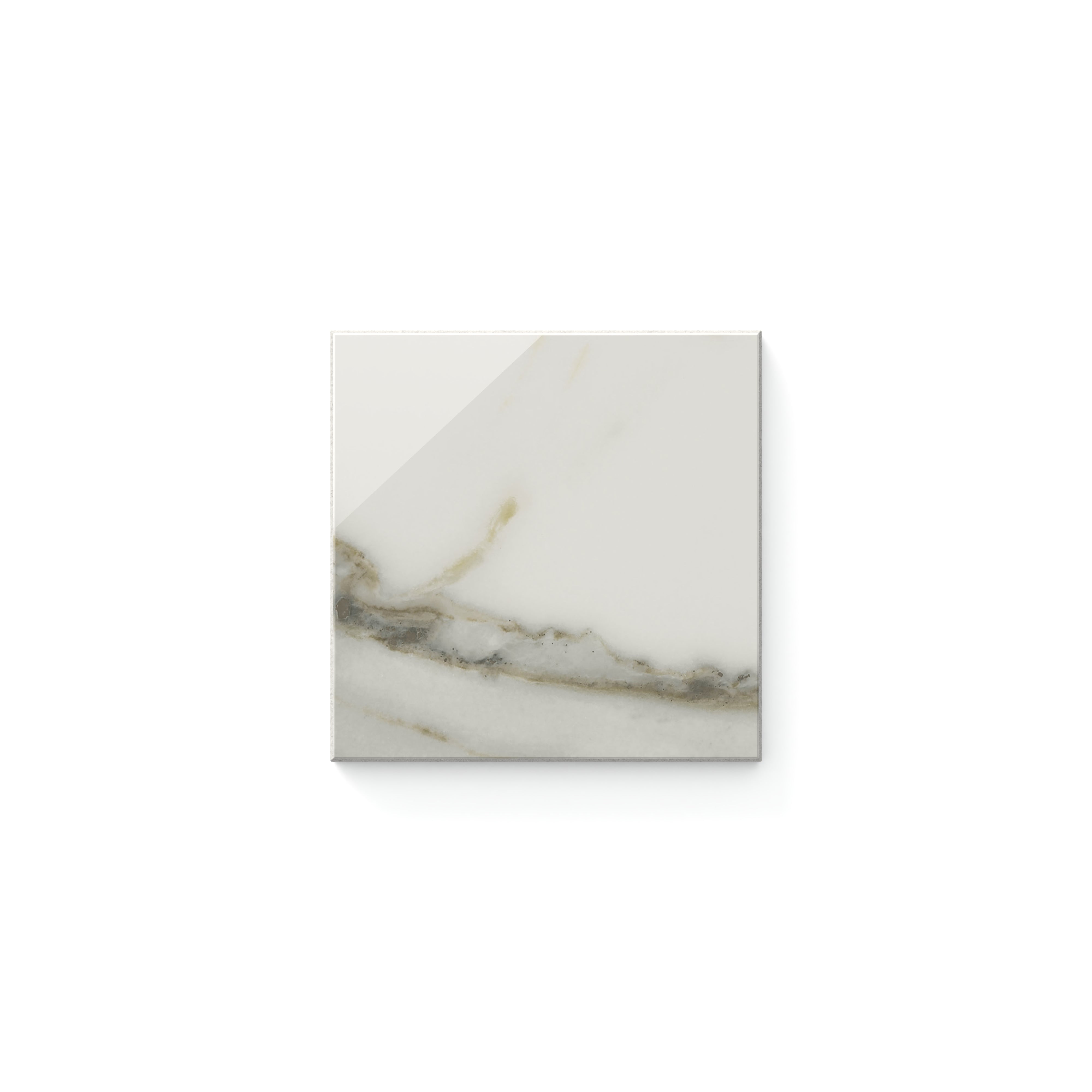 Aniston Polished Calacatta Top 4x4 Tile Sample