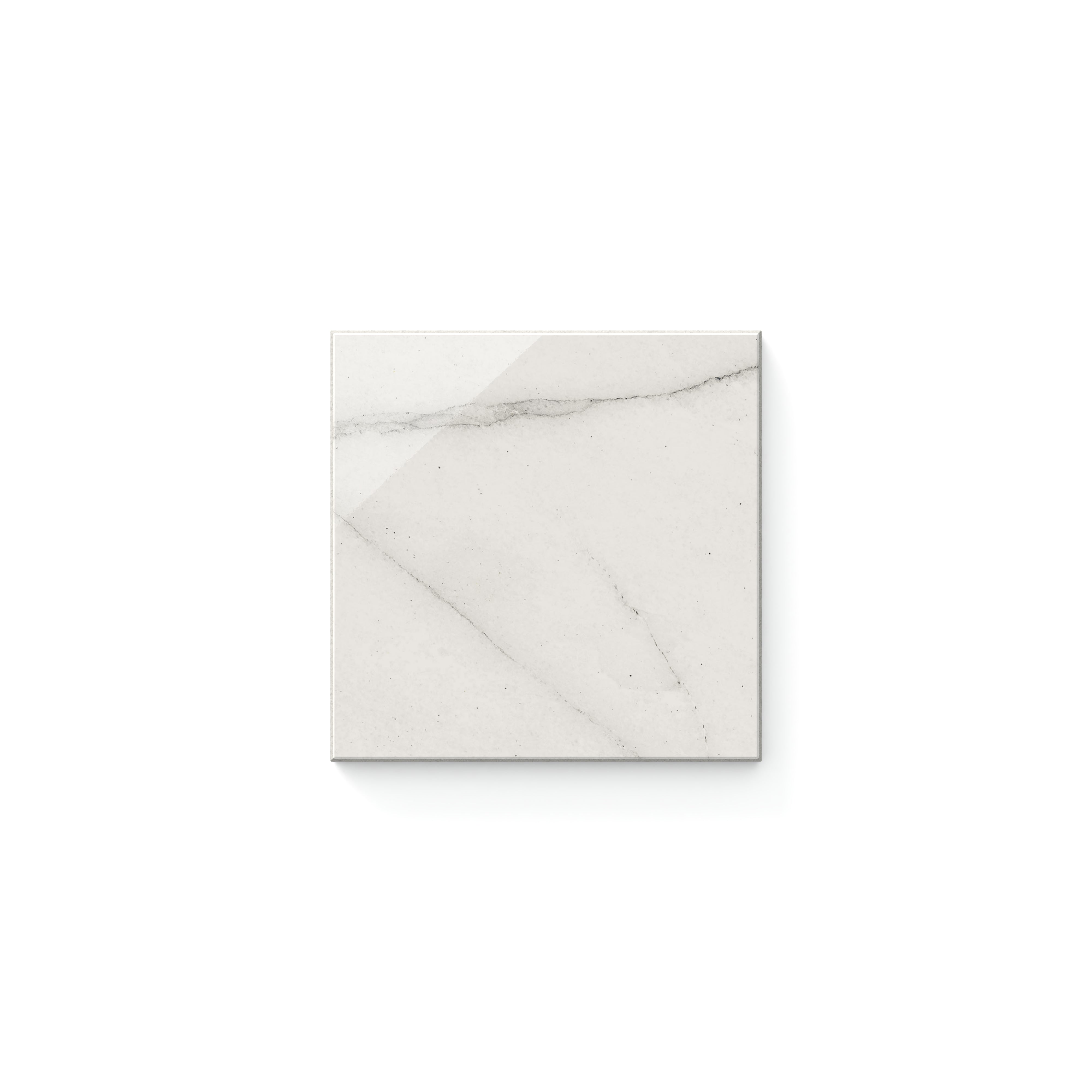 Aniston Polished Calacatta Quarzite 4x4 Tile Sample