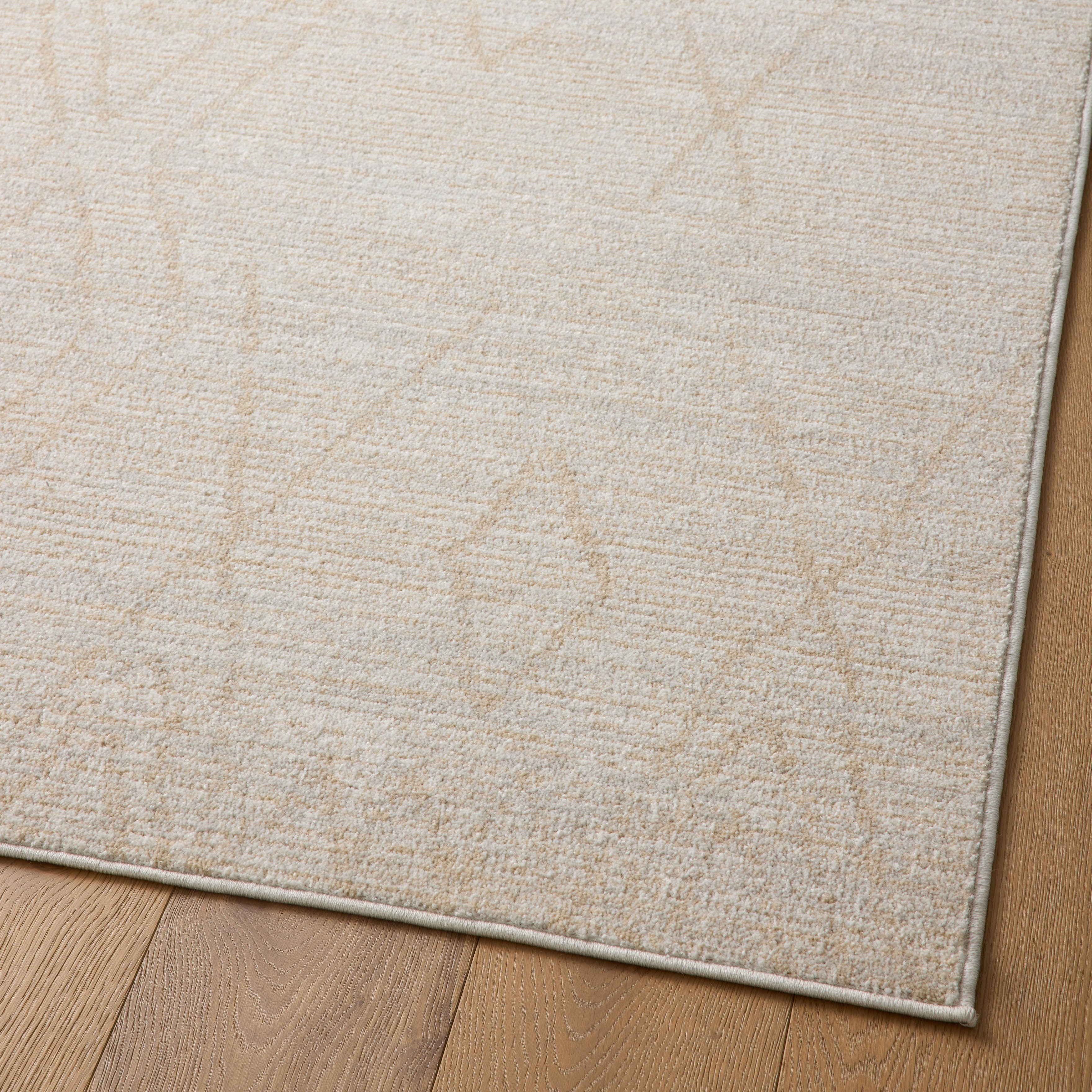 Liddy Polyester Pile Rug in Sand / Fog